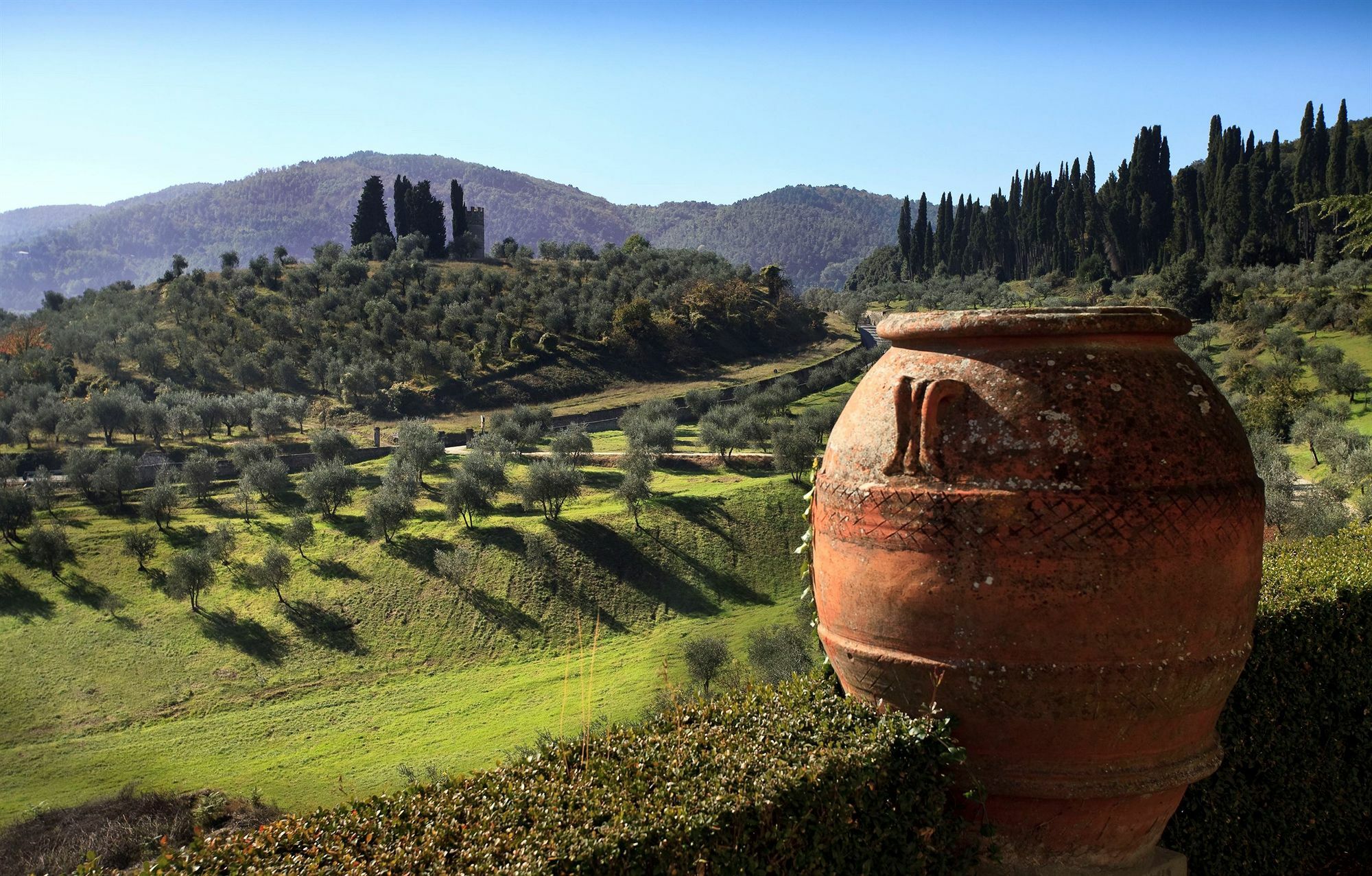 Torre A Cona Wine Estate Hotel San Donato in Collina Екстериор снимка
